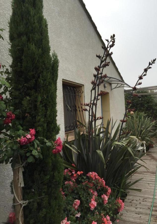La Villa Vaihere En Camargue, L'Hibiscus Et Le Magnolia Saintes-Maries-de-la-Mer Exterior photo